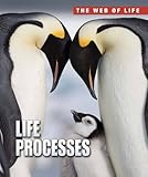 Life processes
