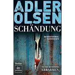 Schändung: Thriller