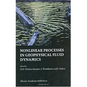 【クリックで詳細表示】Nonlinear Processes in Geophysical Fluid Dynamics： A Tribute to the Scientific Work of Pedro Ripa [ハードカバー]