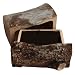 Log Cache - Geocaching