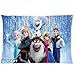 Pandora Star 3D Movie, Disney Frozen Custom Home Bedding Pillow Case 20x30 (one side print)