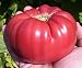 Aunt Ginnys Purple Tomato 20 Seeds - Heirloom