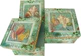 Seashells Set of 3 nesting boxes with relief see-through 3 dimensional lids, GORGEOUS!