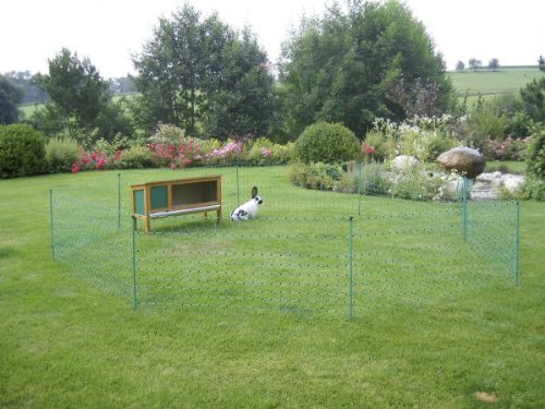 Kerbl Kaninchennetz 12 mtr. Gr&uuml;n 65 cm, Einzelspitz