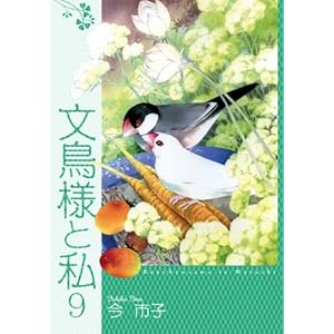 �����l�Ǝ� 9 (LGA�R�~�b�N�X)