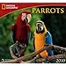Parrots - 2010 National Geographic Wall Calendar