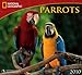 Parrots - 2010 National Geographic Wall Calendar