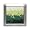 Sue Devitt Microquatic Hydrating Marine Minerals Eye Palette, Green Isles 1 ea