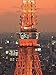 Tokyo Megacity