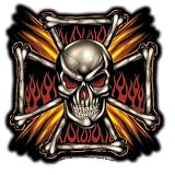 51a3cKs%2BEcL. SL160  F.T.S.   Flame Cross Skull   Sticker / Decal