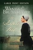 A Sister's Test (Sisters of Holmes County, Book 2)