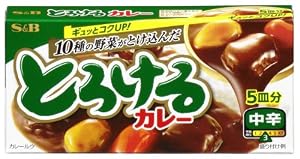 S&B とろけるカレー中辛 94g×10個