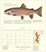 Trout of North America 2015 Wall Calendar
