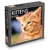 2012 Kittens Box Calendar