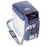 Koolatron Travel Tote Cooler