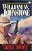 Book Last Gunfighter: Hell Town (Last Gunfighter)