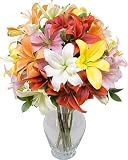 Assorted Spring Lilies 10 stems without Vase
