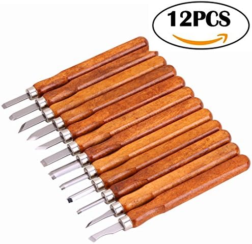 Smartdio 12 Set SK2 Carbon Steel Wood Carving Tools Knife Kit - Kids &amp; Beginners with Reusable box