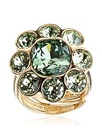 Rebecca Anillo Palm Beach