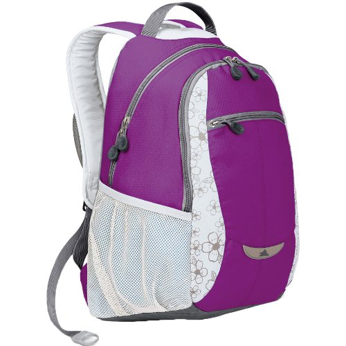 High Sierra Curve Backpack