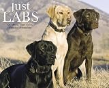 Just Labs 2009 Calendar (Just)