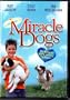 Miracle Dogs