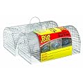 The Big Cheese Multi-Catch Rat Trap