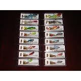 Lotof16NIBWeightedSoftPlasticPaddleTailBassTroutFishingLuresw/Hooks
