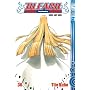 Bleach 36