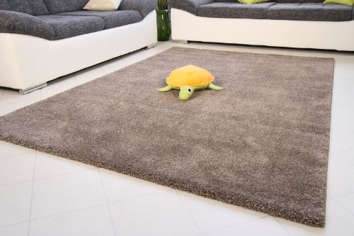  Moderner Designer Teppich Diveria - Friesé Teppich braun, Größe: 120x170 cm