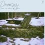 Snow on Moss on Stone