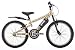 Raleigh Stormer 20