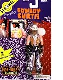 Pee Wees Playhouse Cowboy Curtis poseable action figure