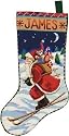 Janlynn Skiing Santa Stocking Needlepoint Kit 18" Long 12 Mesh Stitched In Wool/Floss 23-0411, 1 Item(s)/Order