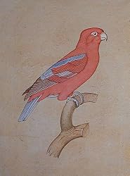 Paper Paintings Miniature Art Drawings with Water Color 7.25 x 9.5 inches (mbird005)