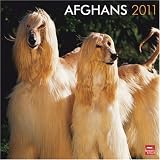 Afghans 2011 Square 12X12 Wall Calendar
