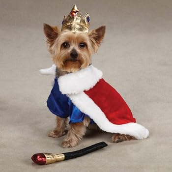 Zack & Zoey Royal Pup Costumes for Dogs