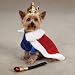 Zack & Zoey Royal Pup Costumes for Dogs