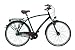 Ruhrwerk Trekkingrad 28 Zoll Alu Herren Gaze 8-Gang Shimano Nexus Rücktrittbremsnabe, gefedert mit Nabendynamo