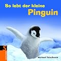 So lebt der kleine Pinguin