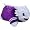 Texas Christian Horned Frogs