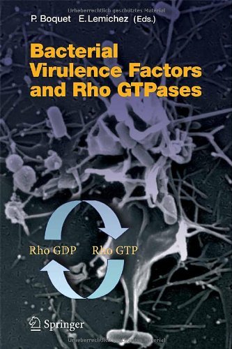 Bacterial Virulence Factors and Rho GTPases: 291 (Current Topics in Microbiology and Immunology)