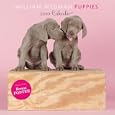 Les d�tails du produit