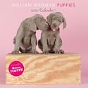 William Wegman