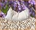Bio Dinkel-Lavendel Kissen 40 x 80 cm weiß