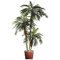 Faux Phoenix Palm- 8'