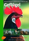 Gefl&uuml;gel: Das Fotobuch f&uuml;r die Praxis - Michael Grashorn, Regina Kuhn, Fridhelm Volk