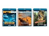 IMAX 3D Bundles (Grand Canyon Adventure / Dinosaurs Alive! / Wild Ocean) [Blu-ray]