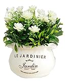 （ADOSSY） おしゃれ フラワーポット に 入った 造花 インテリア 雑貨 (ホワイトフラワー)