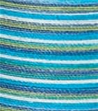 Coats & Clark Cotton Multicolor Machine Quilting T